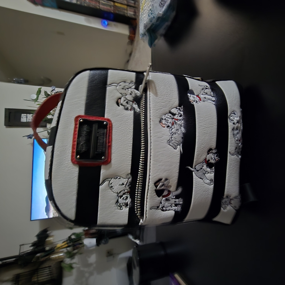 Black and White Striped Women's Bag